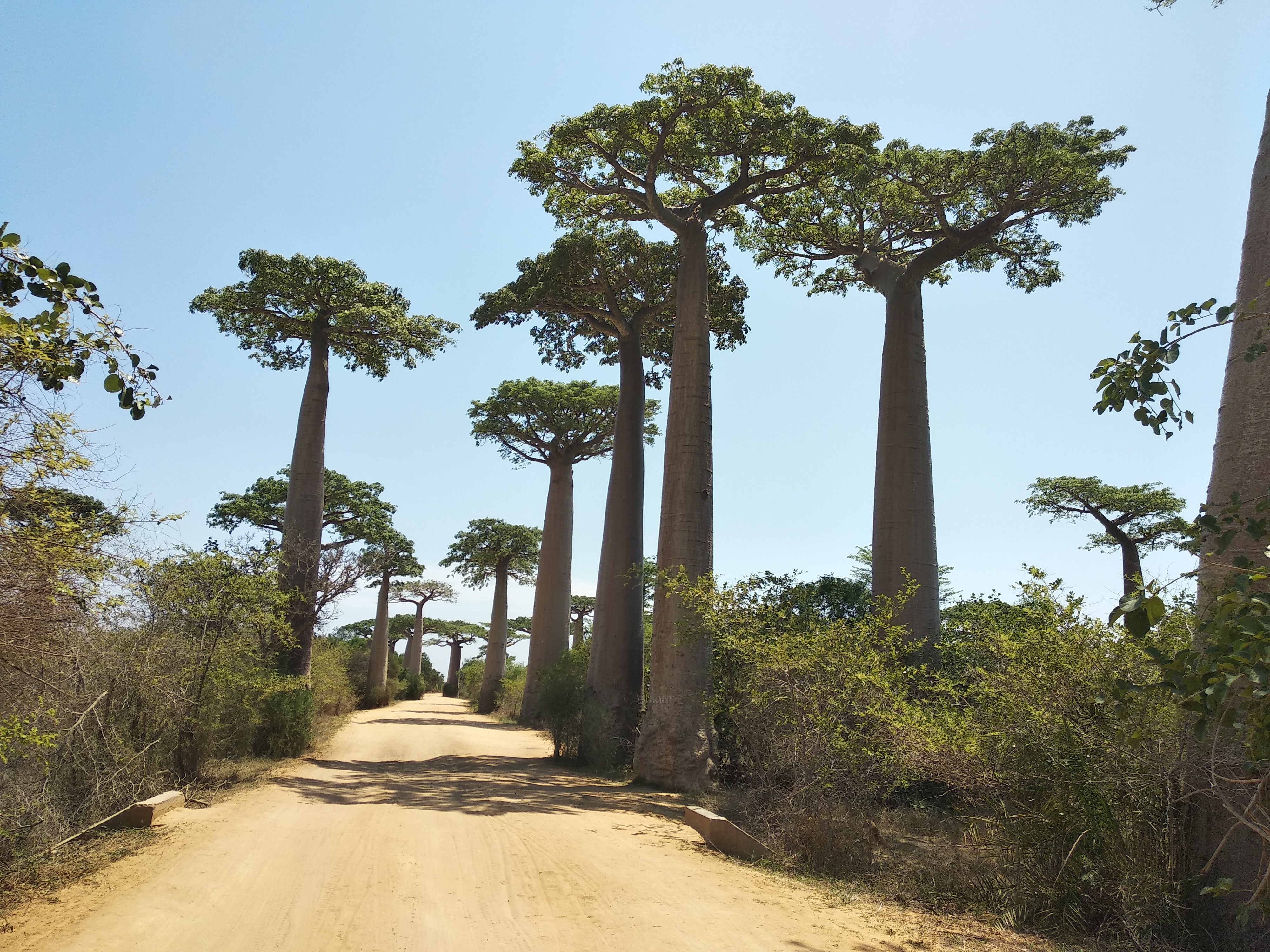 Grand sud de Madagascar